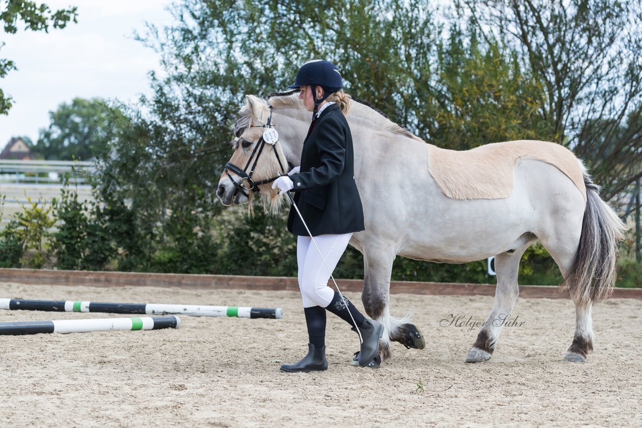 Bild 19 - Pony Akademie Turnier